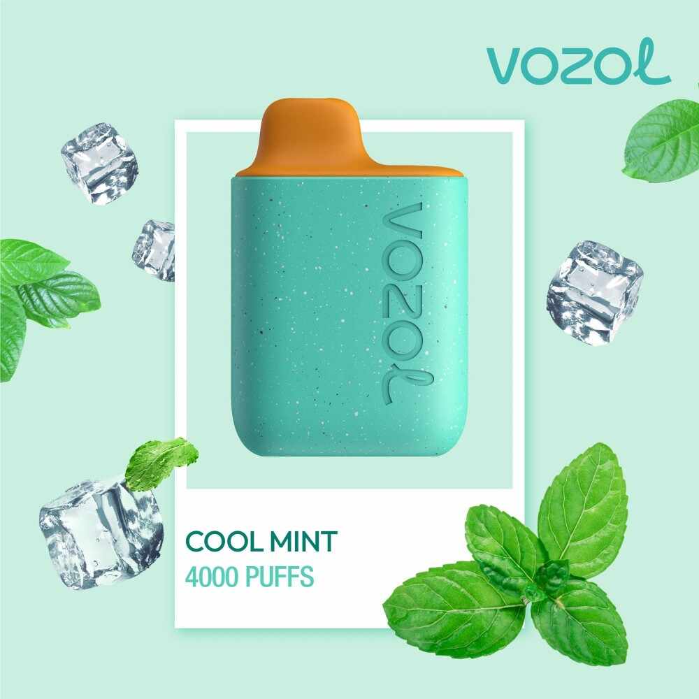 Narghilea electronica de unica folosinta STAR4000 Cool Mint Vozol